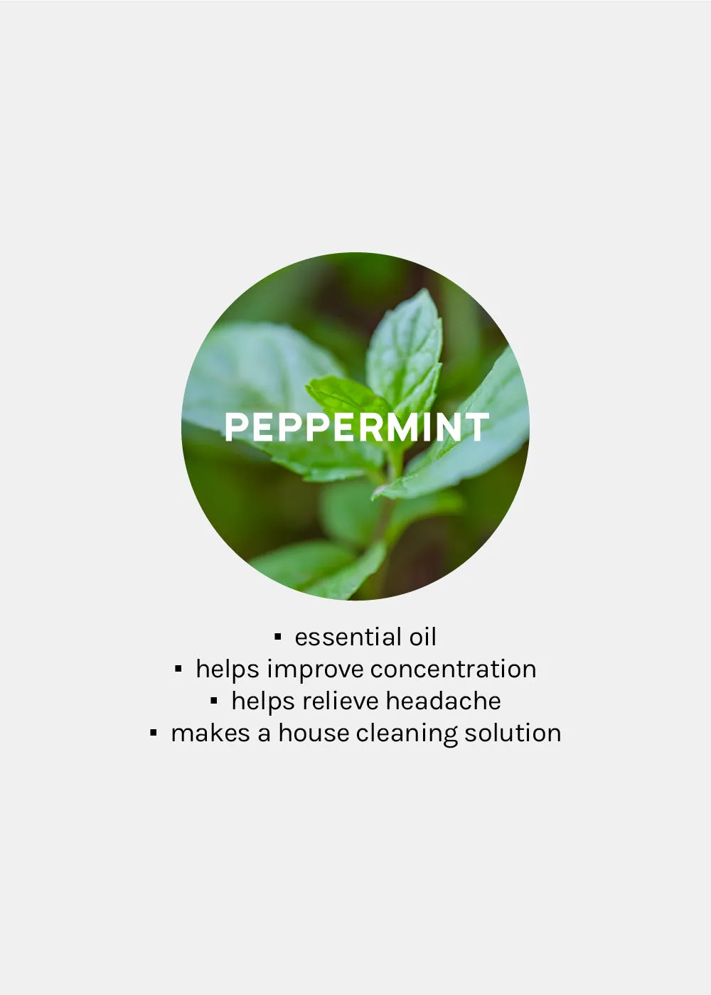 AOA 100% Essential Oils - Peppermint