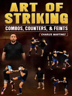 Art of Striking Combos, Counters, & Feints by Charles Martinez