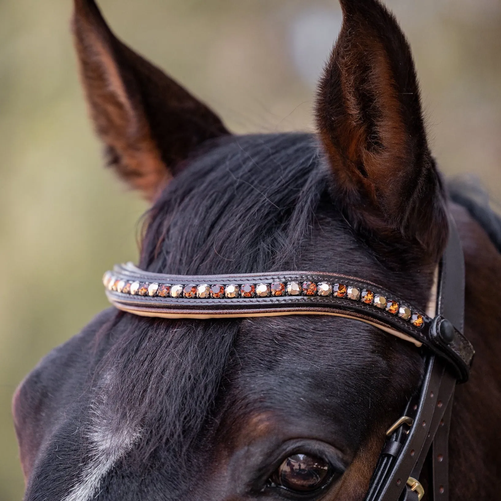 Limited Edition Lisbon - Brown Patent Sparkle Double Bridle