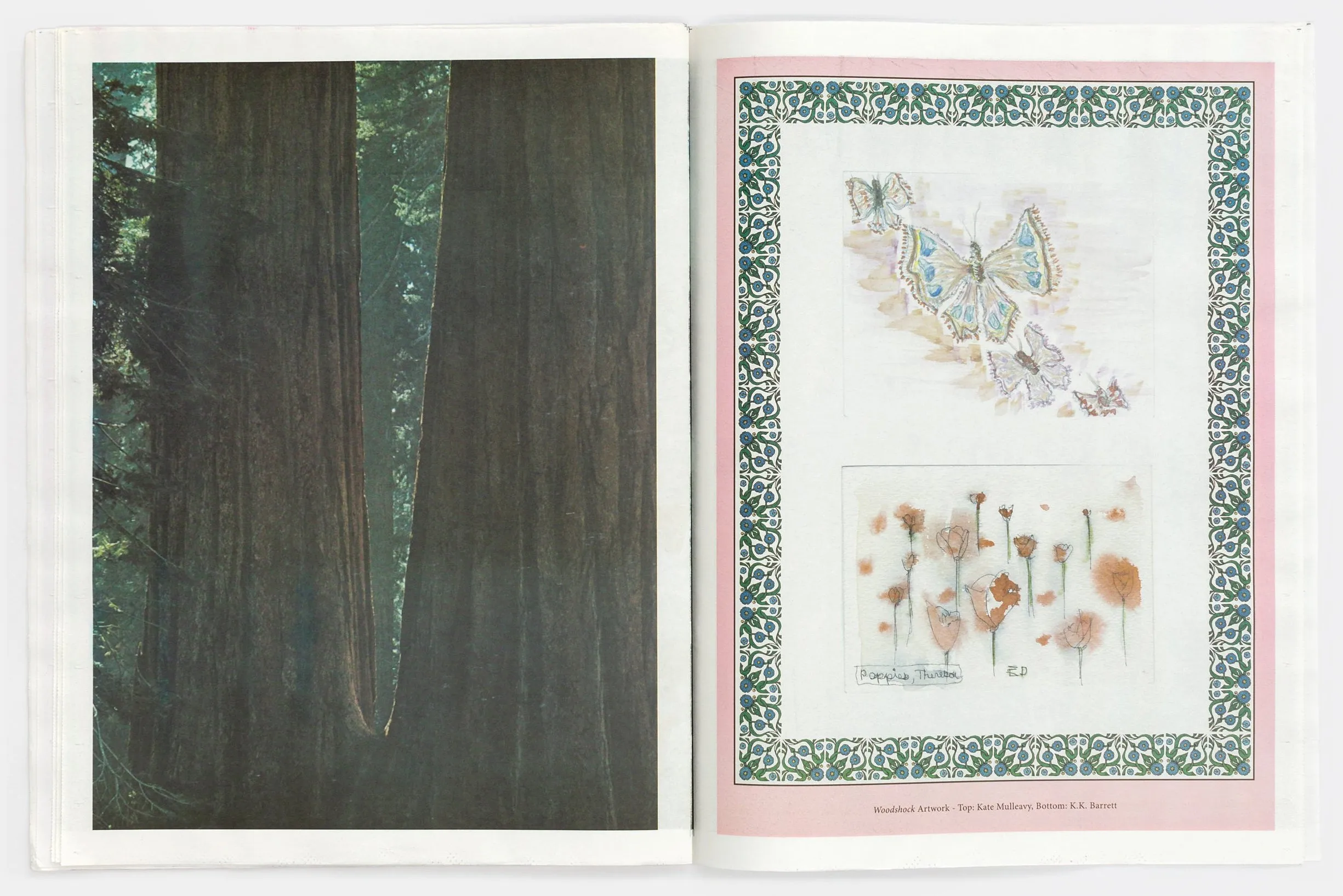 Redwoods Zine by Kate & Laura Mulleavy