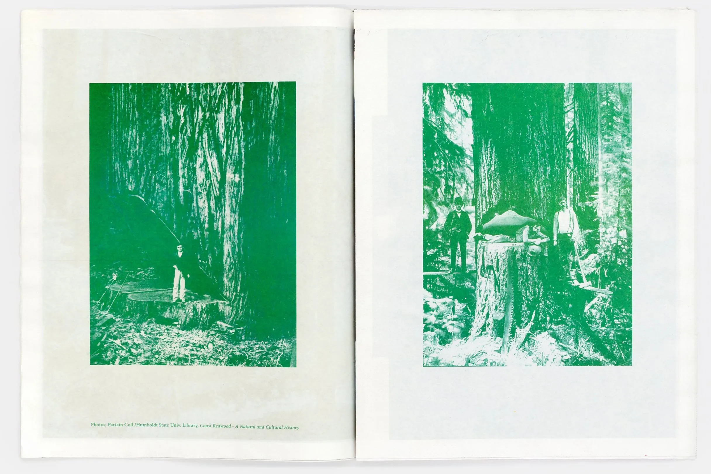 Redwoods Zine by Kate & Laura Mulleavy