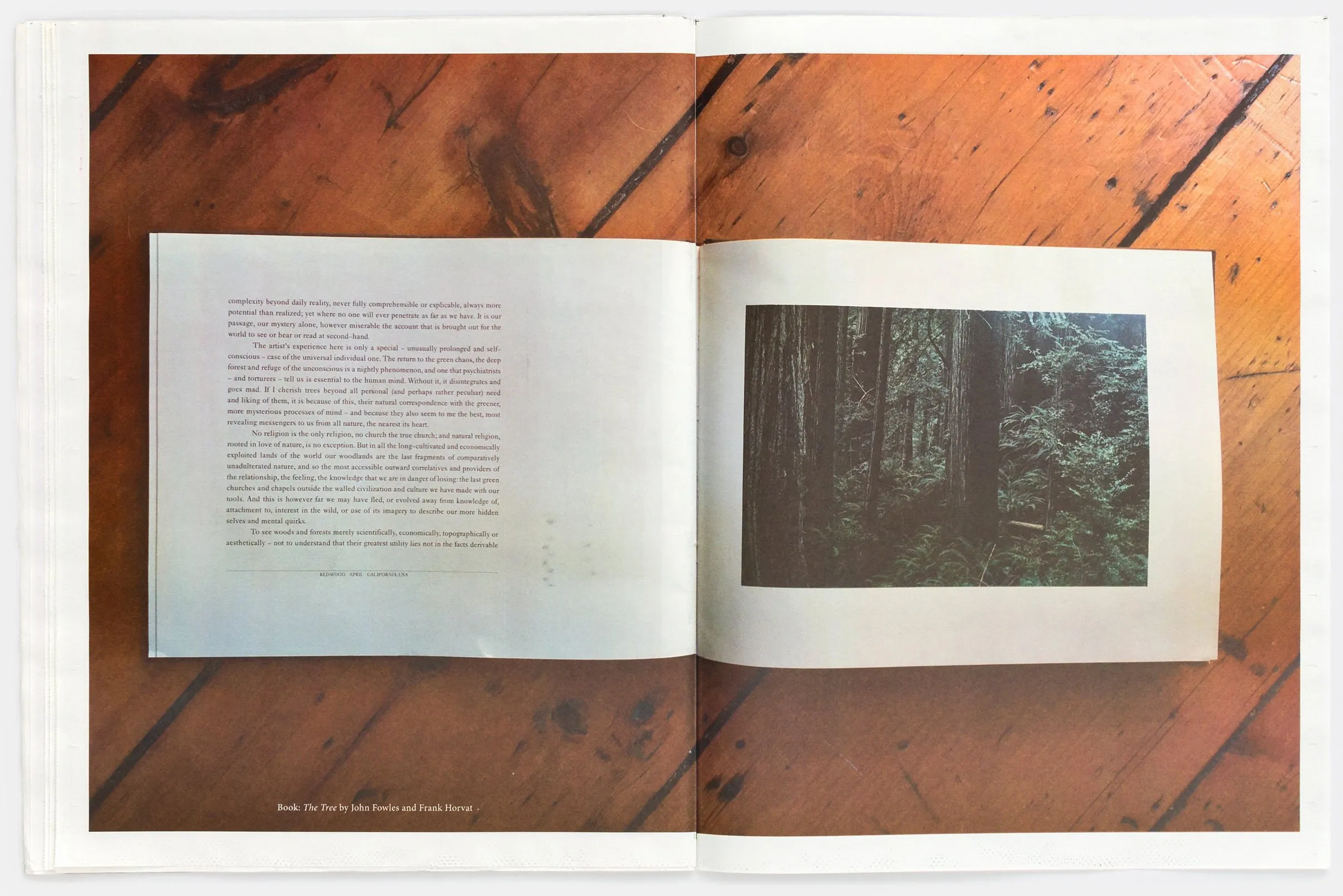 Redwoods Zine by Kate & Laura Mulleavy