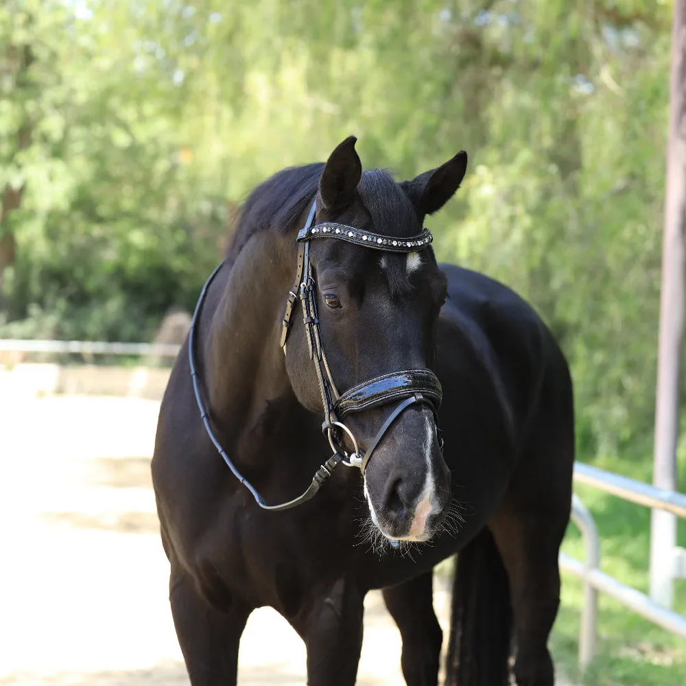 The Argentia Snaffle Bridle