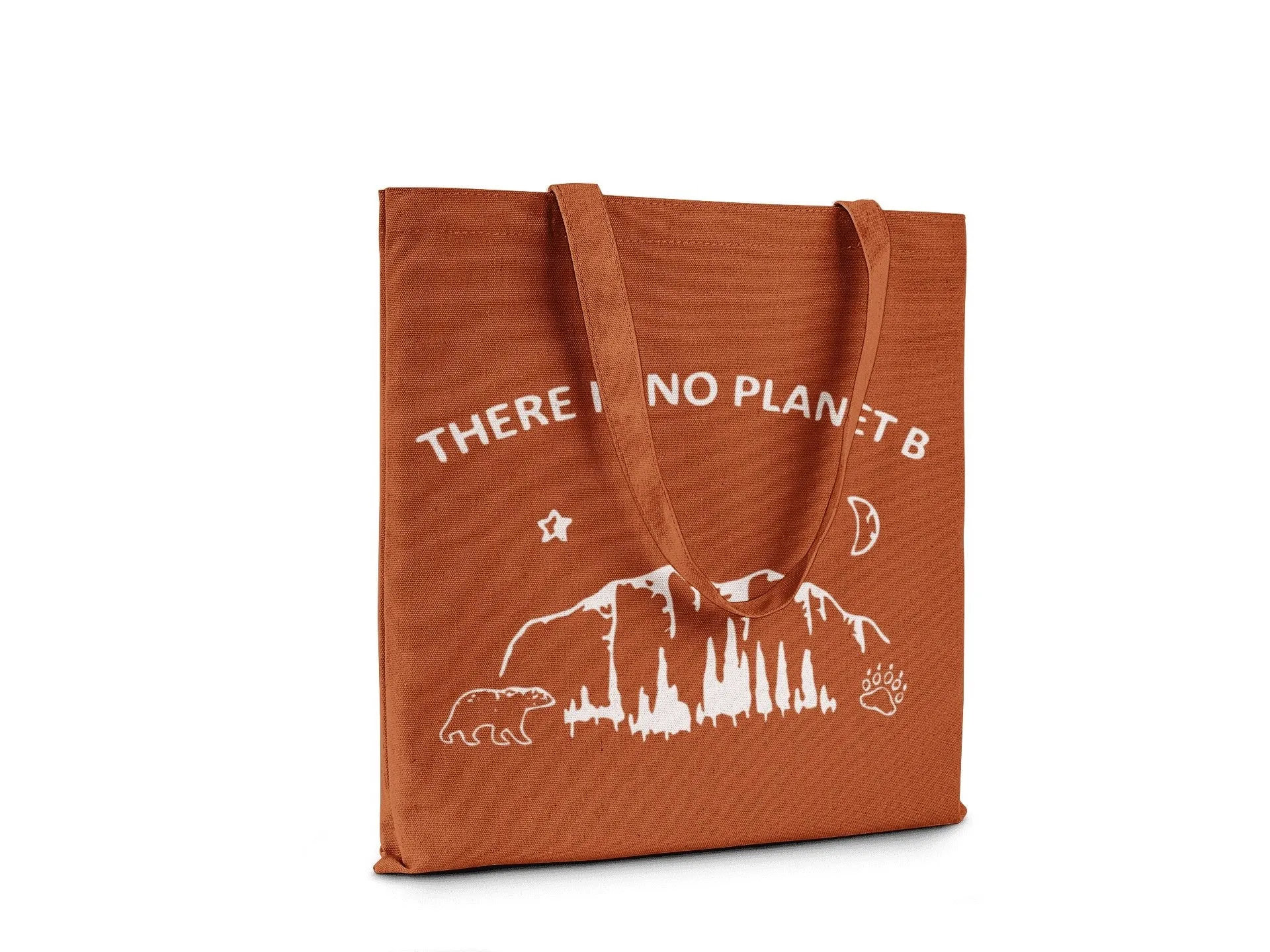 There is no Planet B || Organic Cotton Tote Bag