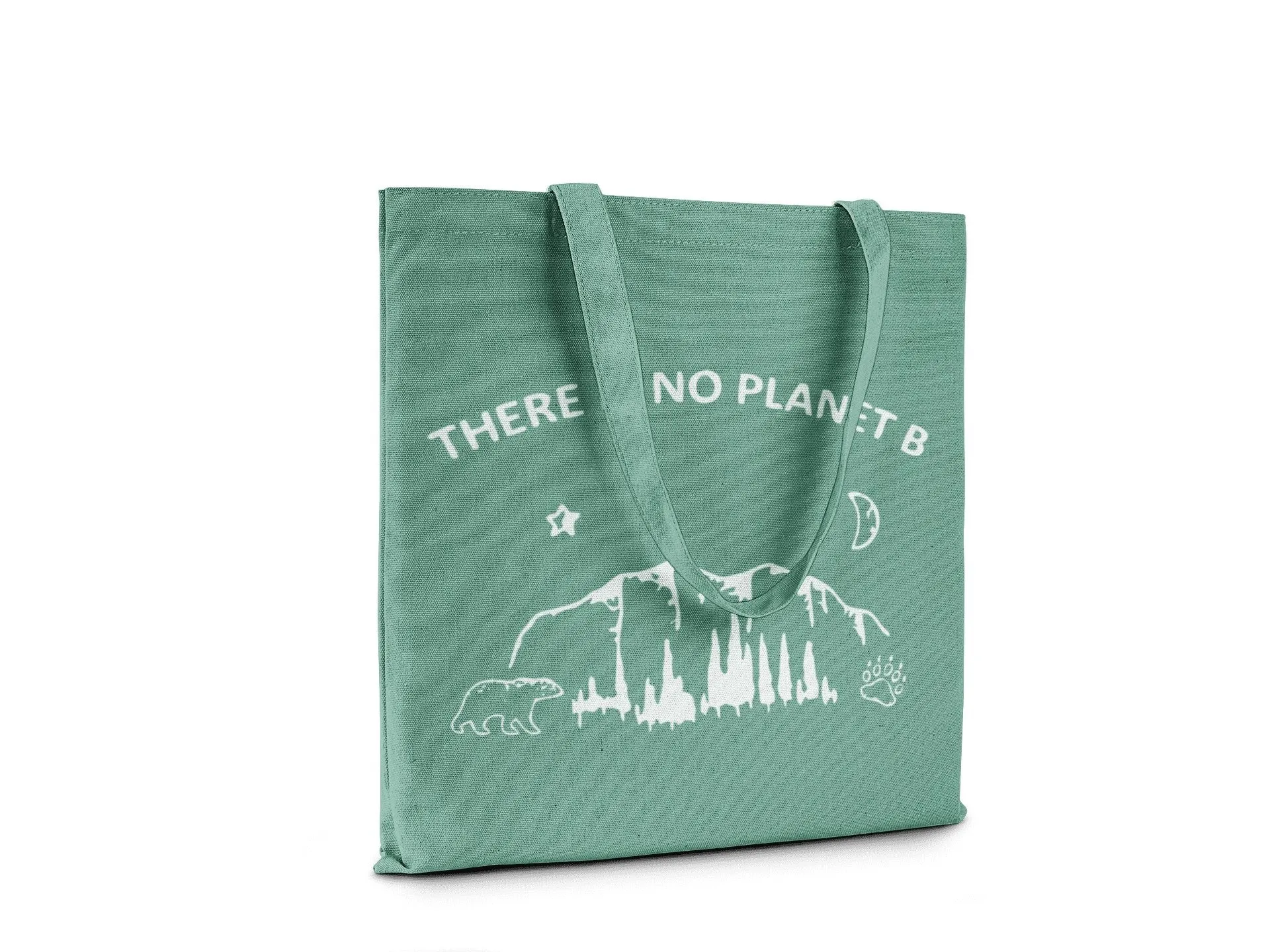 There is no Planet B || Organic Cotton Tote Bag