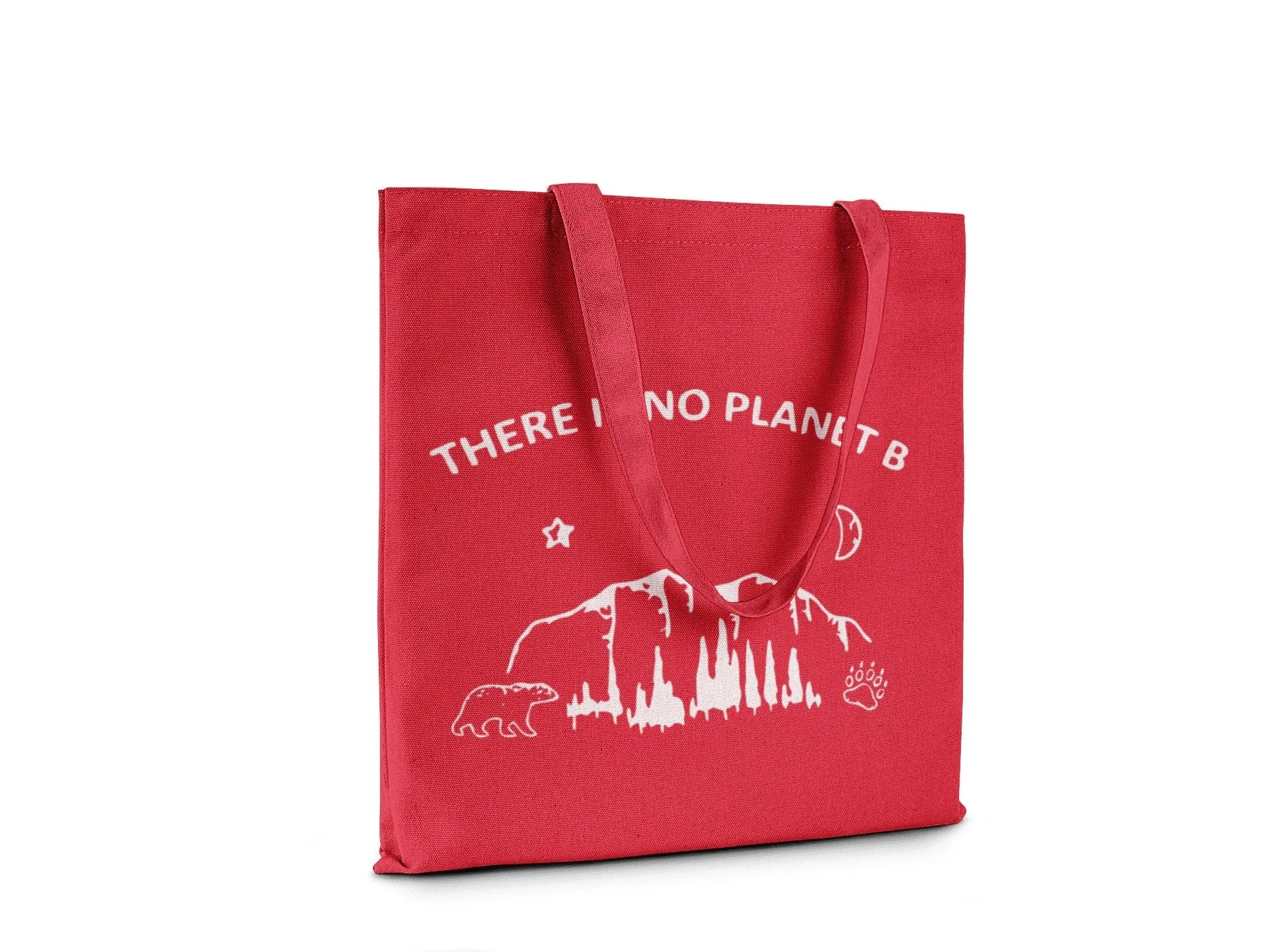 There is no Planet B || Organic Cotton Tote Bag